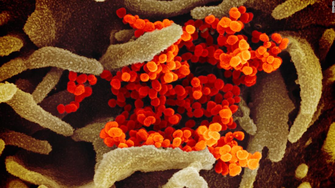 The latest on the coronavirus pandemic: Live updates