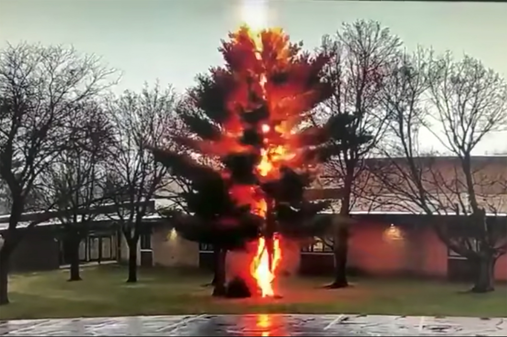 Video shows lightning torch tree outside Wisconsin school