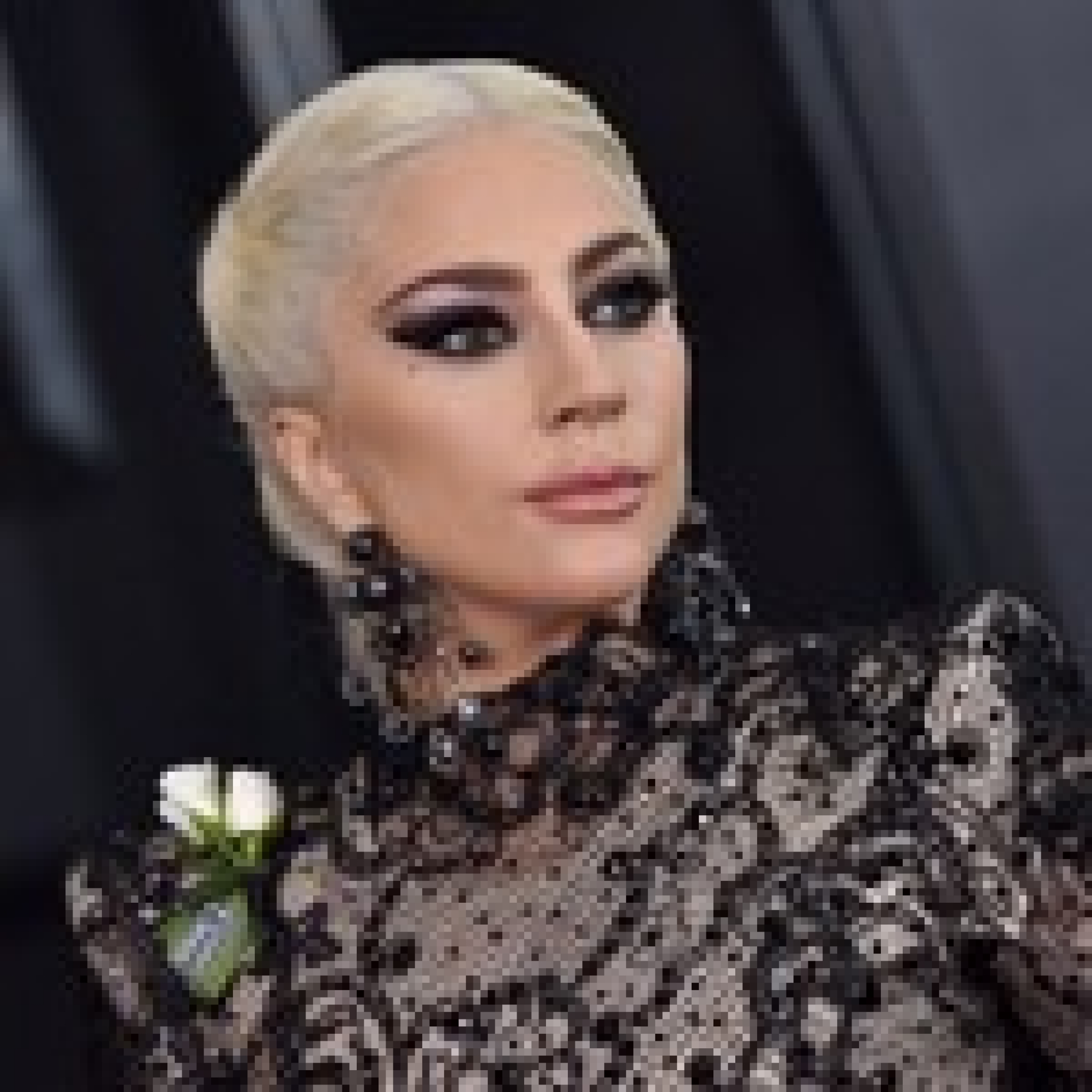 5 Arrests Made in Lady Gaga Dogwalker’s Shooting & Dog Abduction