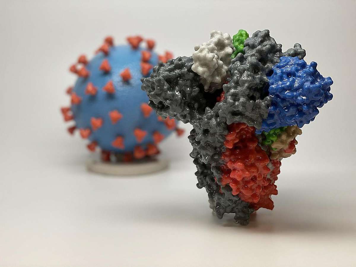 (FILES) In this file photo obtained on March 16, 2020 courtesy of The National Institutes of Health(NIH)/NIAD-RML, shows a 3D print of a spike protein of SARS-CoV-2also known as 2019-nCoV, the virus that causes COVID-19in front of a 3D print of a SARS-CoV-2 virus particle.