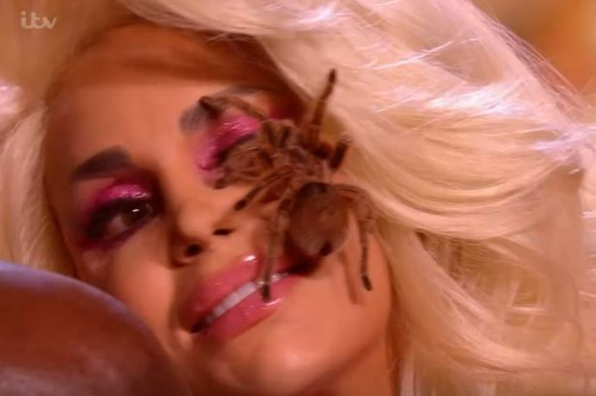 Game of Talents fans ‘traumatised’ as woman performs with tarantulas on her face