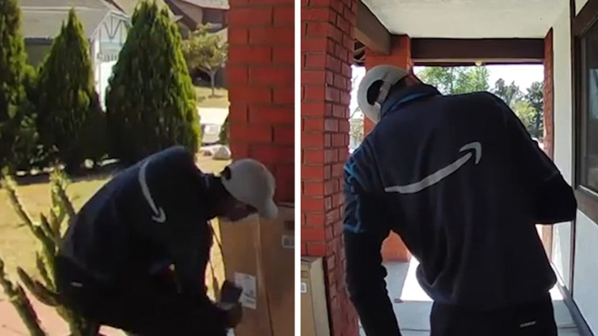 Amazon Delivery Guy Pricked by Cactus, Struggles to Get Thorns Out of His Butt