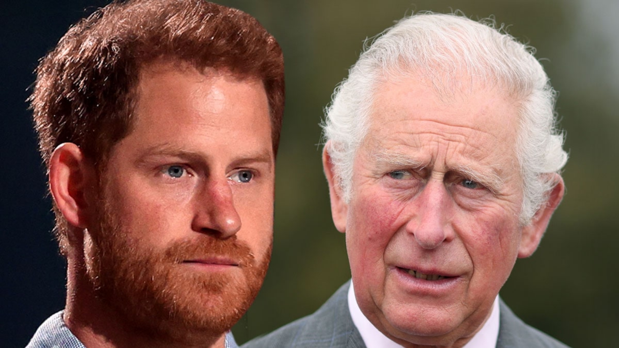 Royal Aides Reportedly Say Prince Harry Should Be Stripped of Title