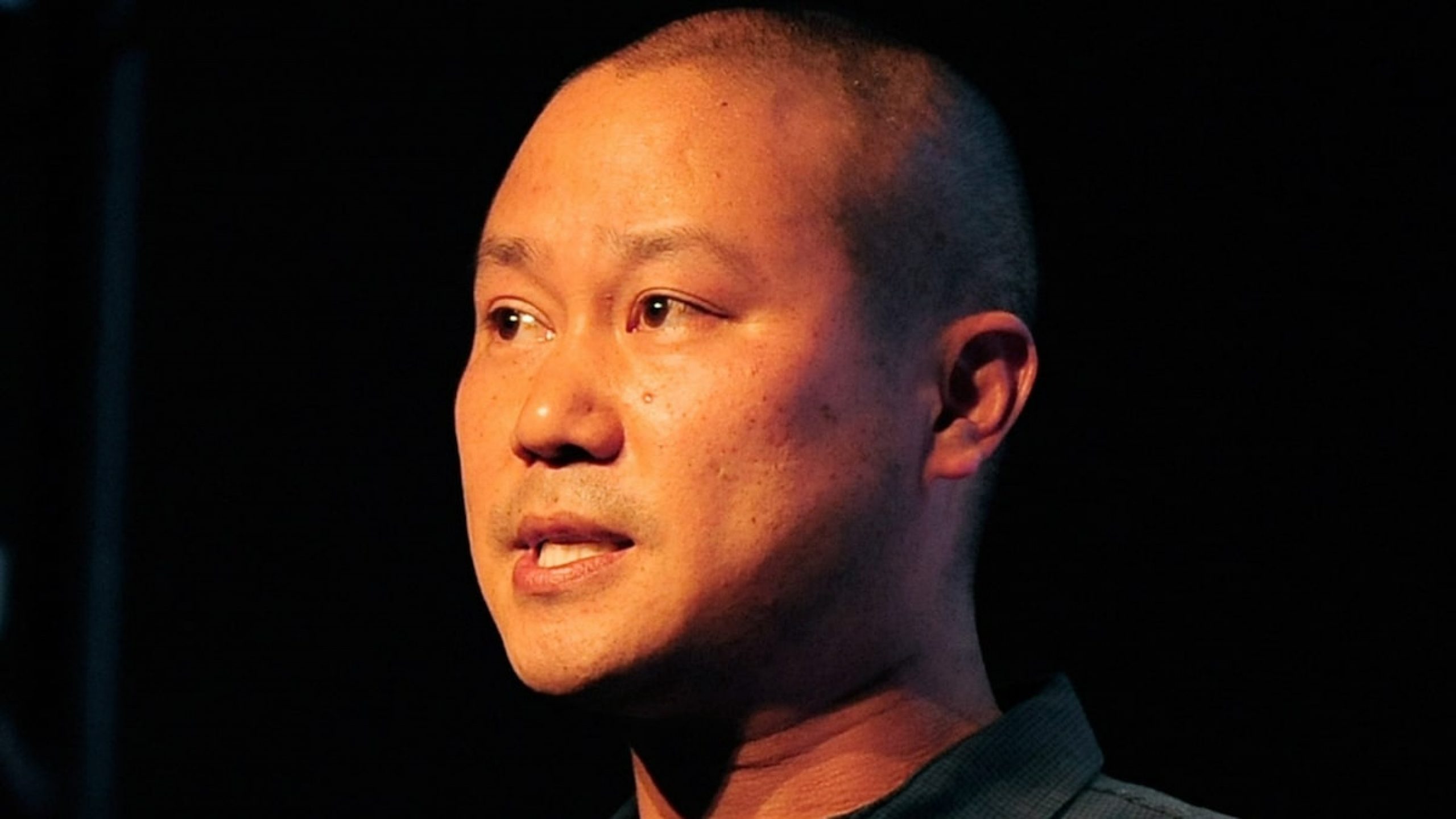 Ex-Zappos CEO Tony Hsieh’s Estate Hit with $40k Bill for Brain Artwork