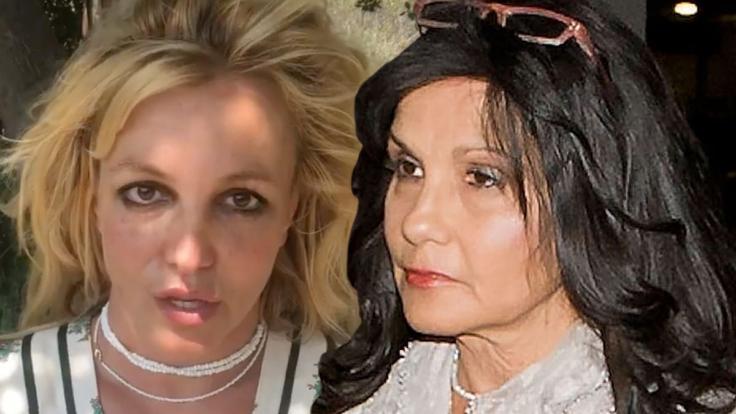 Lynne Spears Asks Judge to Appoint Private Lawyer for Britney to End Conservatorship