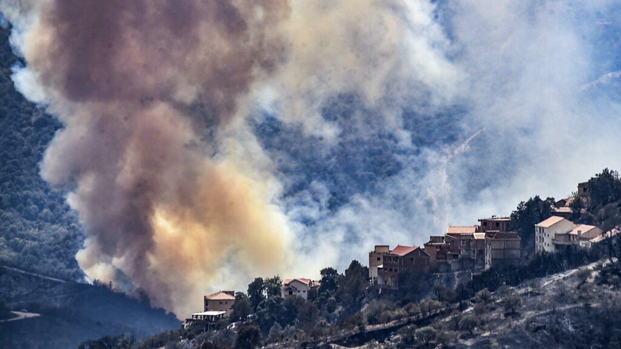 Wildfires continue to rage in Algeria, 22 suspected arsonists arrested