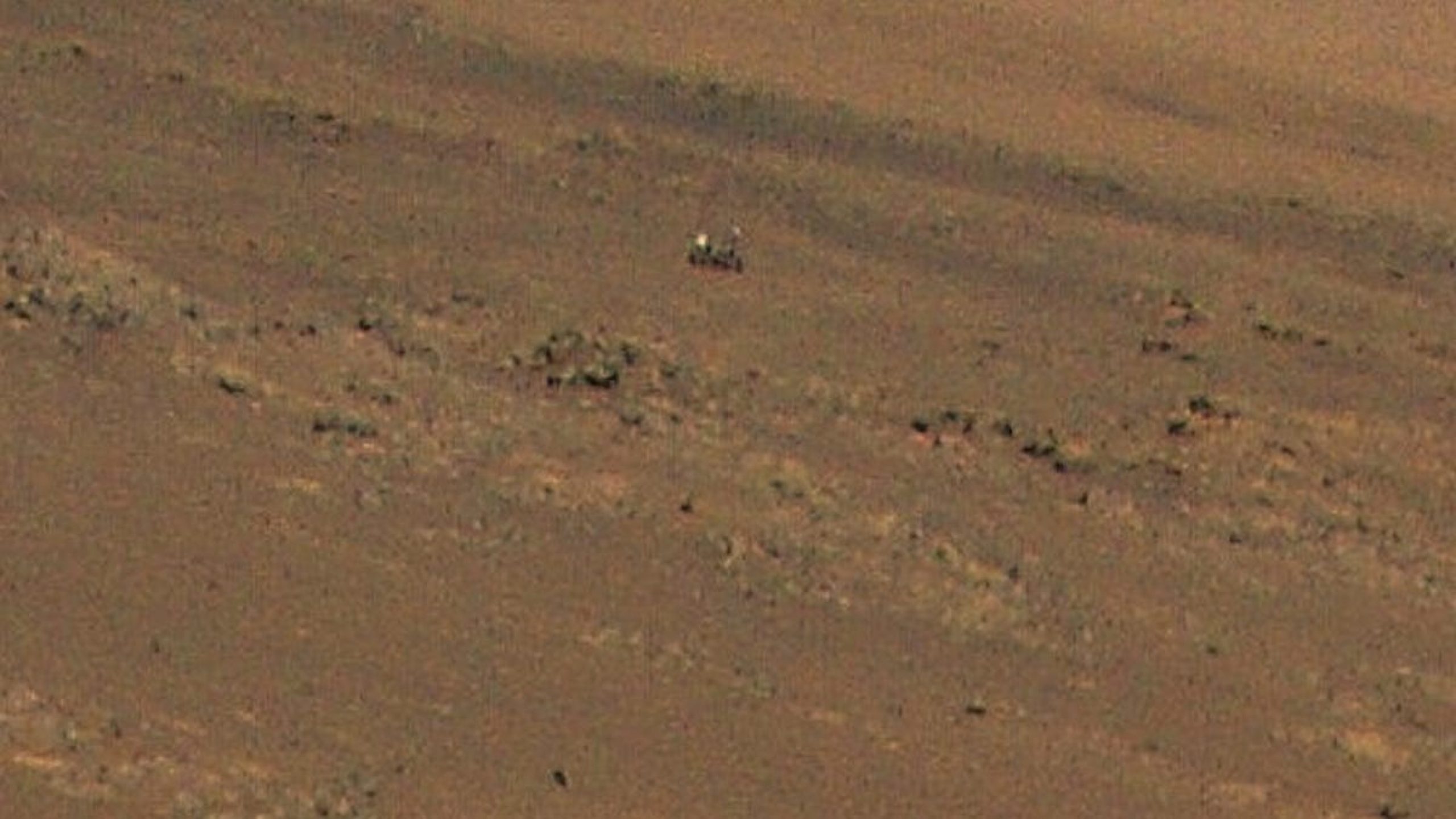 Just Two Robots Hanging Out on Mars