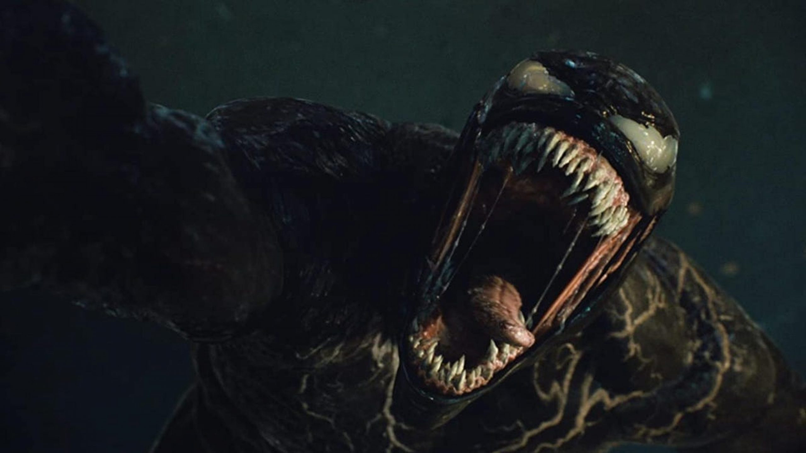 Venom: Let There Be Carnage Has Been Delayed a Few Weeks