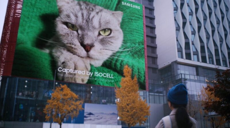 This Adorable 616-Square-Meter Cat Photo is a Glimpse at the Future of Mobile Photography