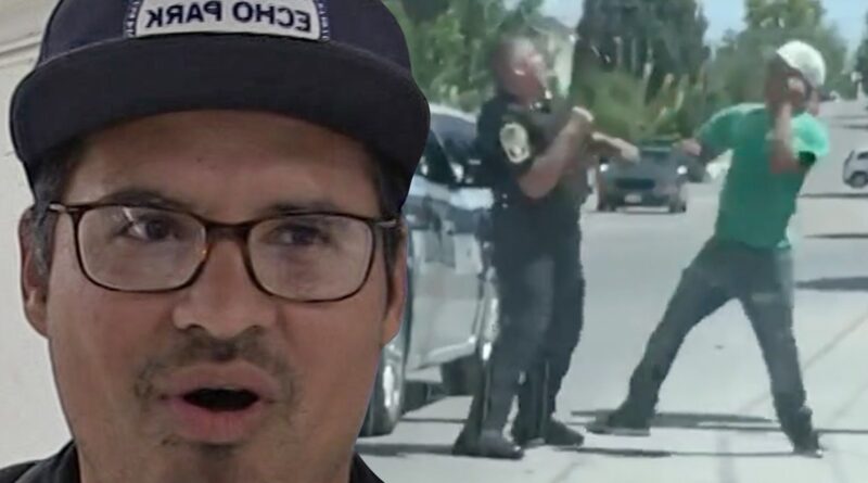Michael Pena’s ‘End of Watch’ Fight Compared to Viral Clip of Cop Brawl