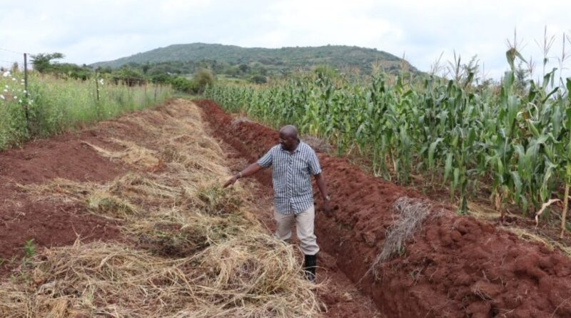 Southern Africa: Interfaith Groups Call for Agroecology to be at the Centre of COP27’s Agenda #AfricaClimateHope