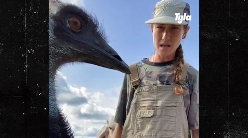 Emmanuel the Emu Sick After Wild Geese, Bird Flu Strike Florida Farm