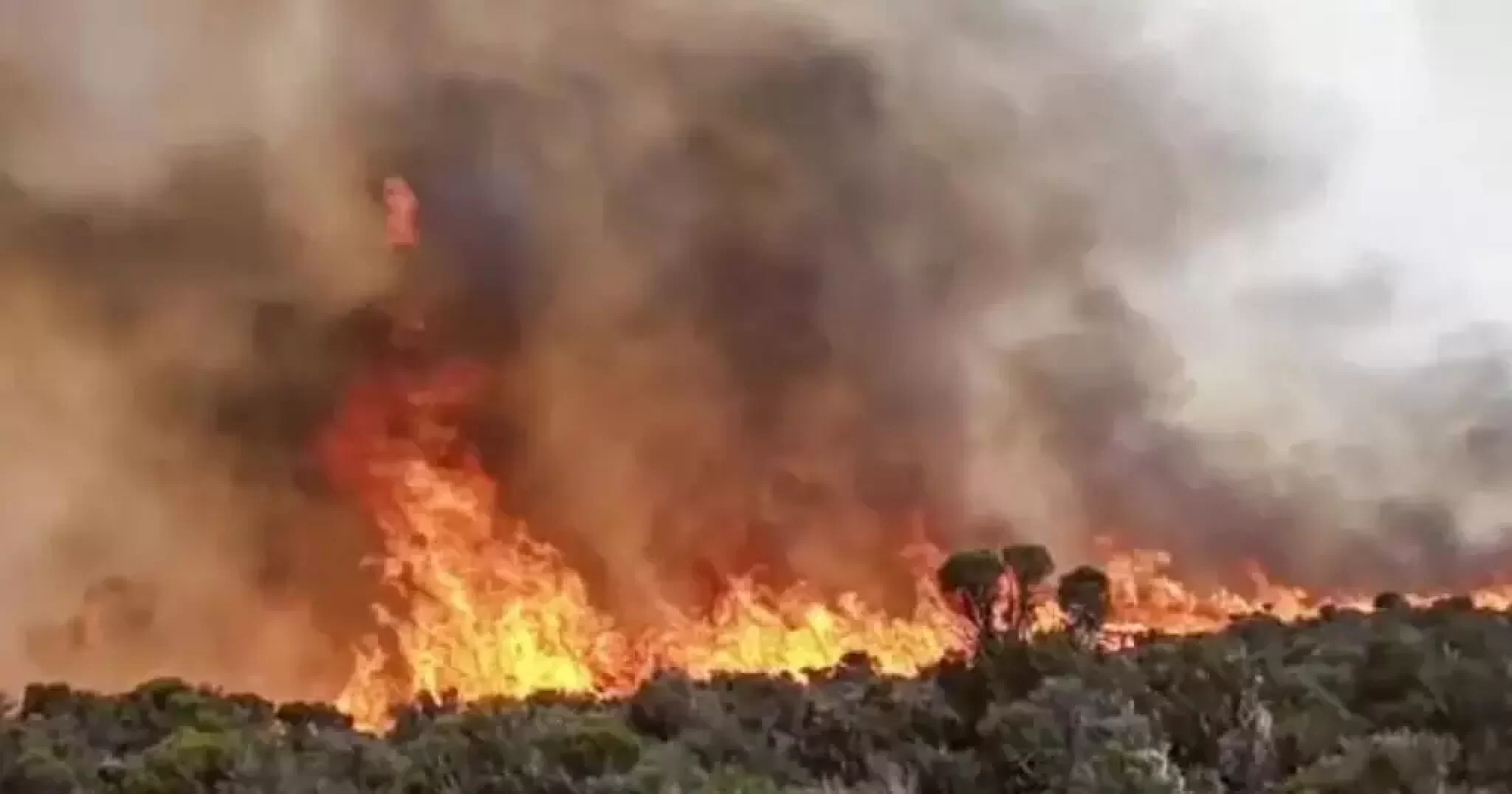 Tanzanian firefighters battle blaze on Mount Kilimanjaro
