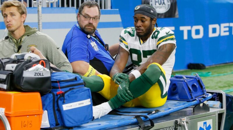 Packers lose WR Doubs, CB Stokes to injuries