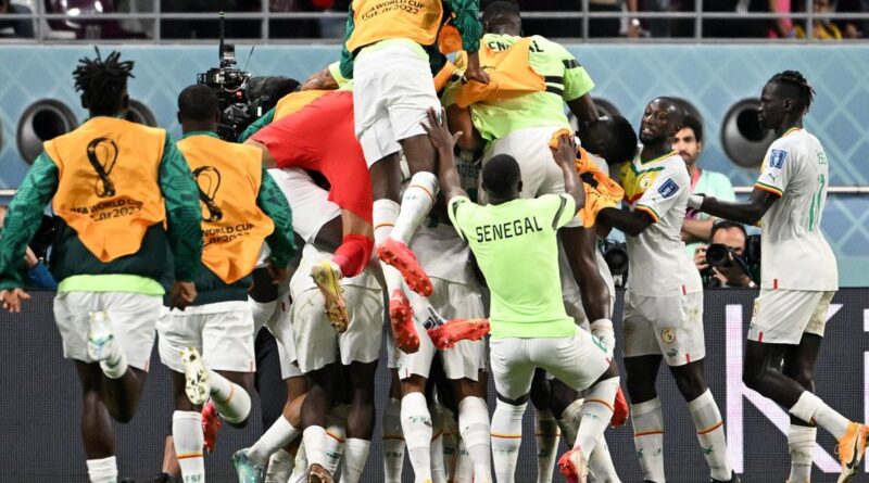 World cup: Senegal beat Ecuador 2-1 to qualify for knockout stage