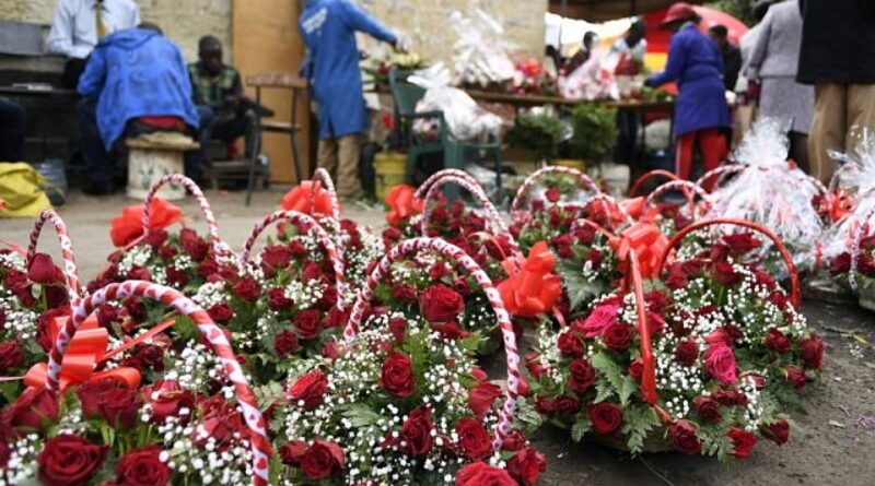 No longer a bed of Roses for flower growers In Kenya due to high inflation