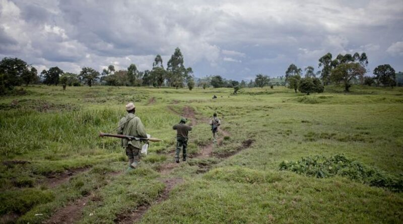 Fresh clash between rebels and troops in eastern DR Congo
