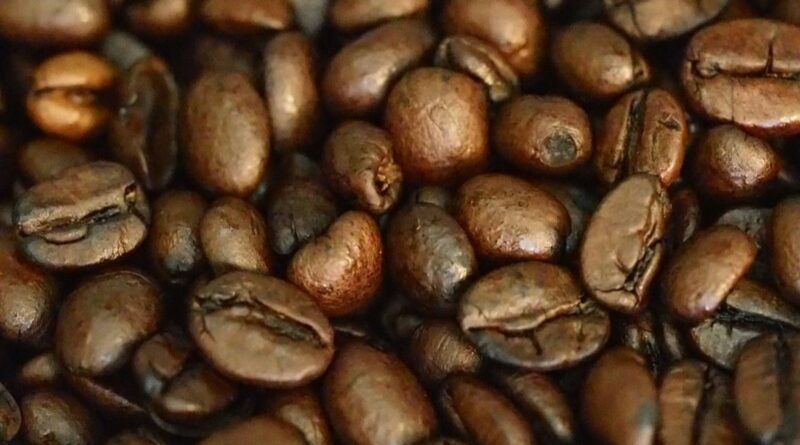 Kenya: Coffee Farmers in Mt Kenya Seek Direct Access to Buyers