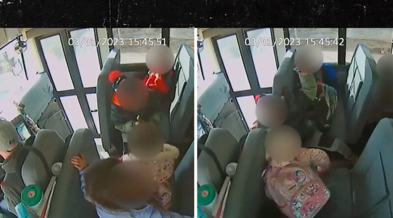 School Bus Driver Fired After Slamming On Brakes To Teach Kids A Lesson