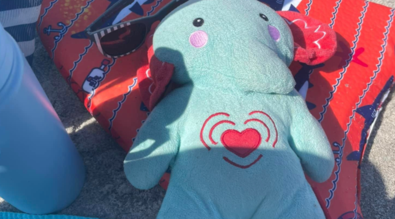 Family loses toy elephant with son’s ashes inside during trip to Disney