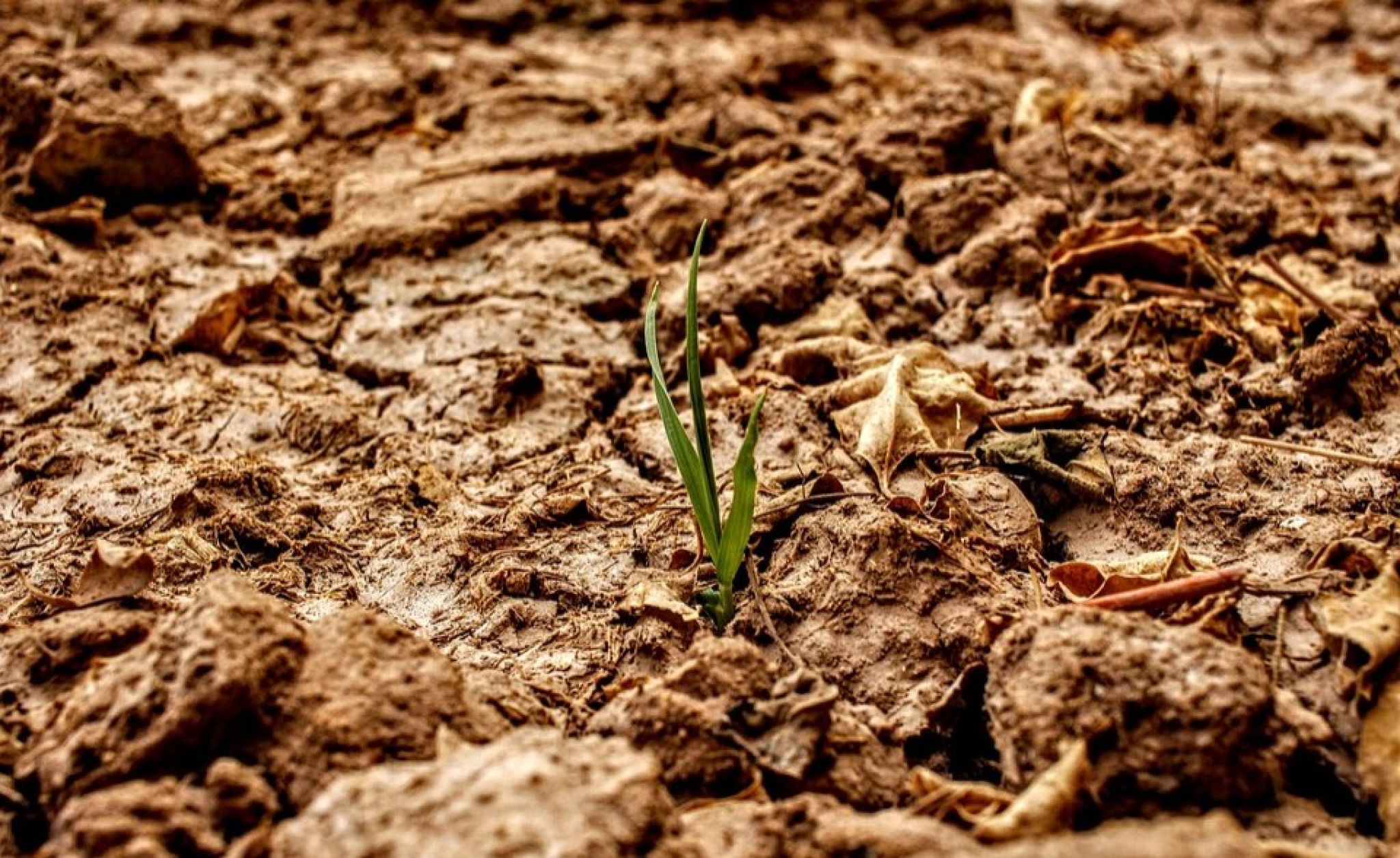 Sudan: Climate Crisis Exacerbates Gender Inequality in Sudan #WD2023 Sudan: Climate Crisis Exacerbates Gender Inequality in Sudan #WD2023