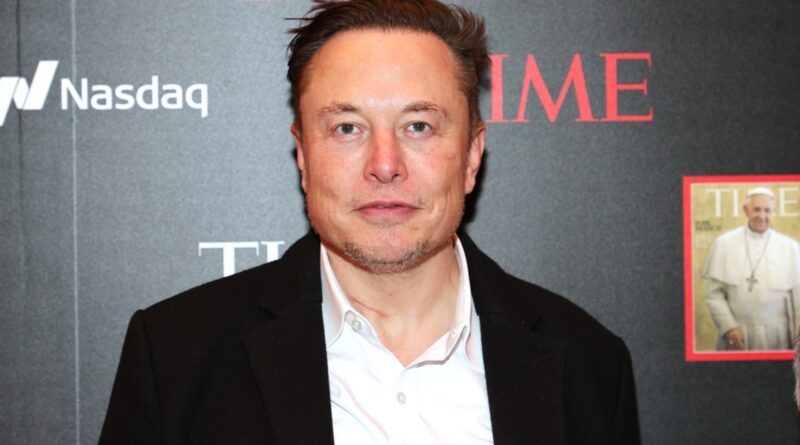 Elon Musk Says His Cage Fight With Mark Zuckerberg Will Be Streamed on X