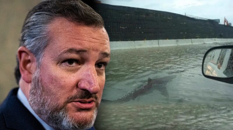 Sen. Ted Cruz Believed Sharks Were Swimming L.A. Streets During Hurricane Hilary