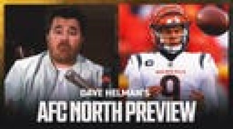 2023 AFC North Preview ft. Bengals, Ravens, Steelers & Browns | NFL on FOX Podcast