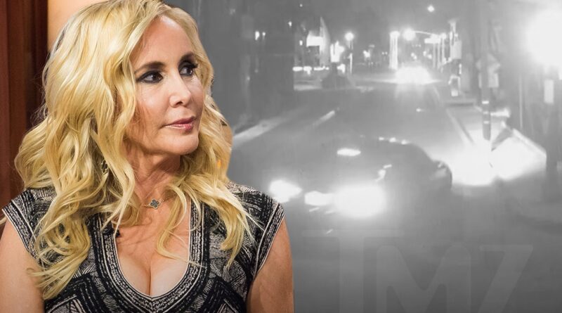 Shannon Beador Hit-And-Run Video, Speeds Down Street and Slams Into Home