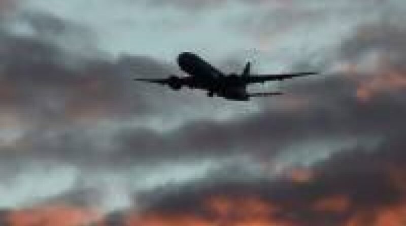Turkish passenger plane makes emergency landing in Ukraine: police