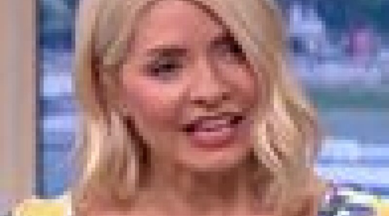 Holly Willoughby ‘under police watch’ amid ‘kidnap plot’ arrest as she’s pulled out of This Morning