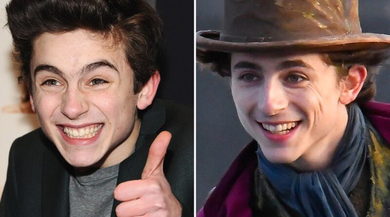 Timothée Chalamet –