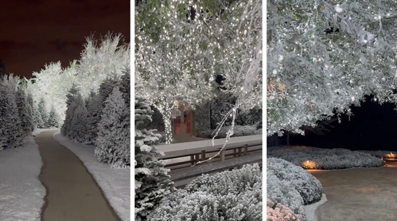 Kim Kardashian Shows Off Forest of Christmas Trees in Backyard of Home