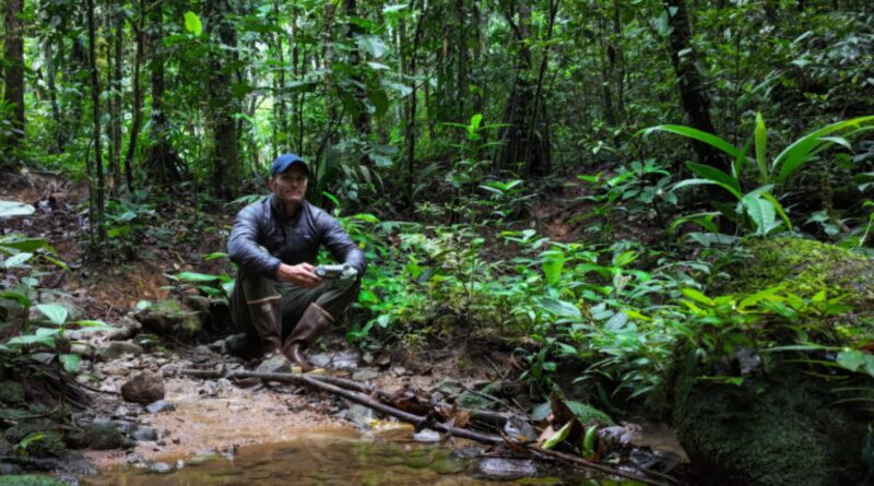 World Economic Forum features Mongabay’s work