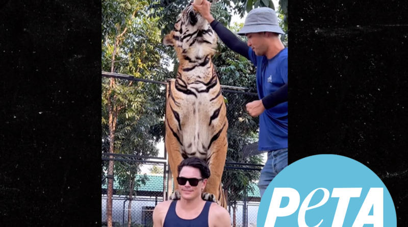 Tom Sandoval Scolded by PETA for Posing with Tiger at Thailand Zoo