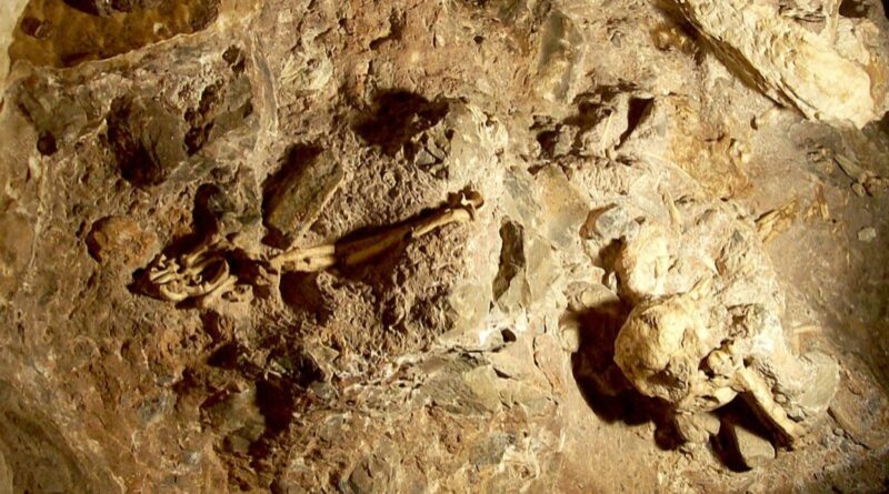 Africa: Africans Discovered Dinosaur Fossils Long Before the Term ‘Palaeontology’ Existed