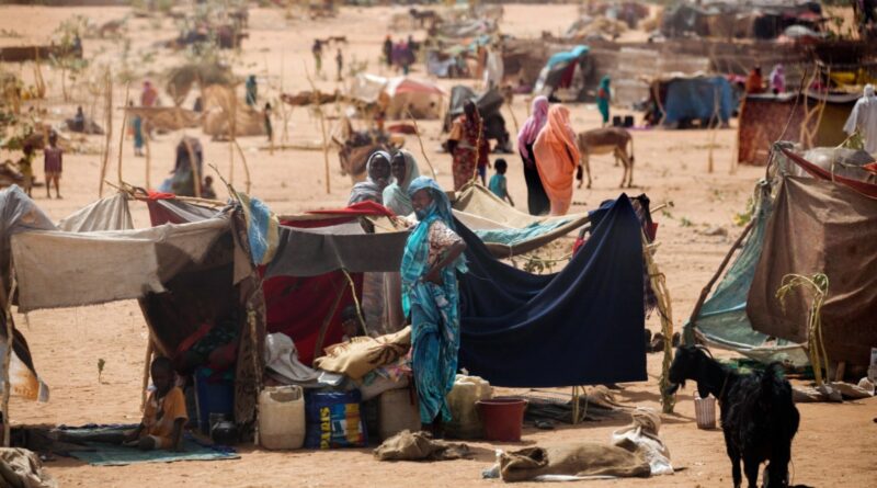 Sudan: 2024 Demands Swift Action to Stem Sudan’s Ruinous Conflict