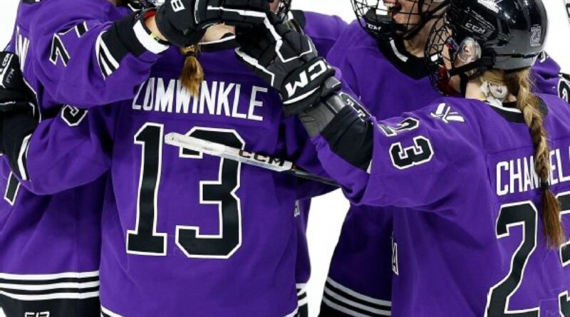 PWHL game in Minnesota sets attendance record