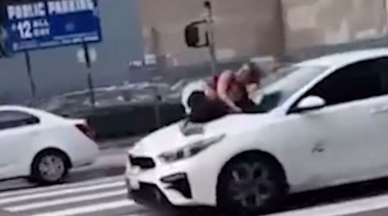 Woman clings to thieves’ car after French bulldog stolen in L.A.: video
