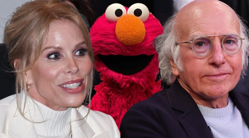 Cheryl Hines Defends Larry David Beating Up Elmo