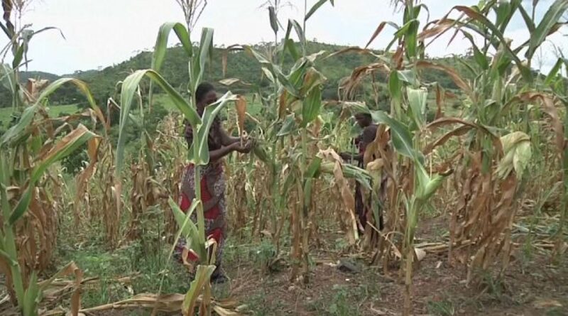 IMF to assess impact of drought on Zambia’s economy