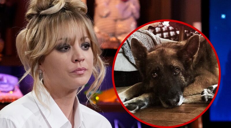 Kaley Cuoco Announces Death of Her Dog, Blue