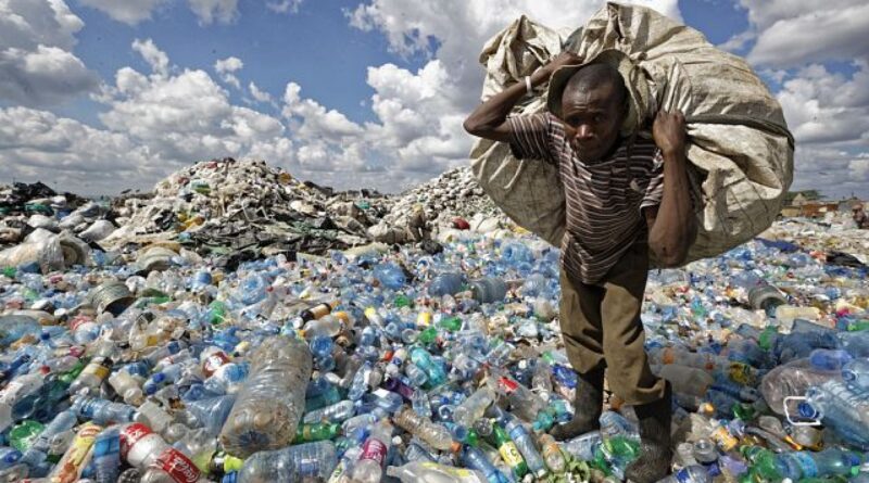 Kenya bans use of plastic bags for organic waste