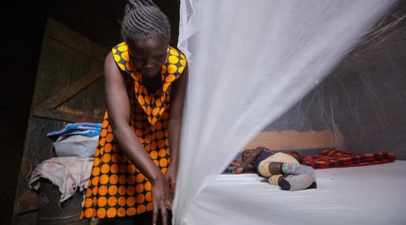 Africa: World Malaria Day 2024