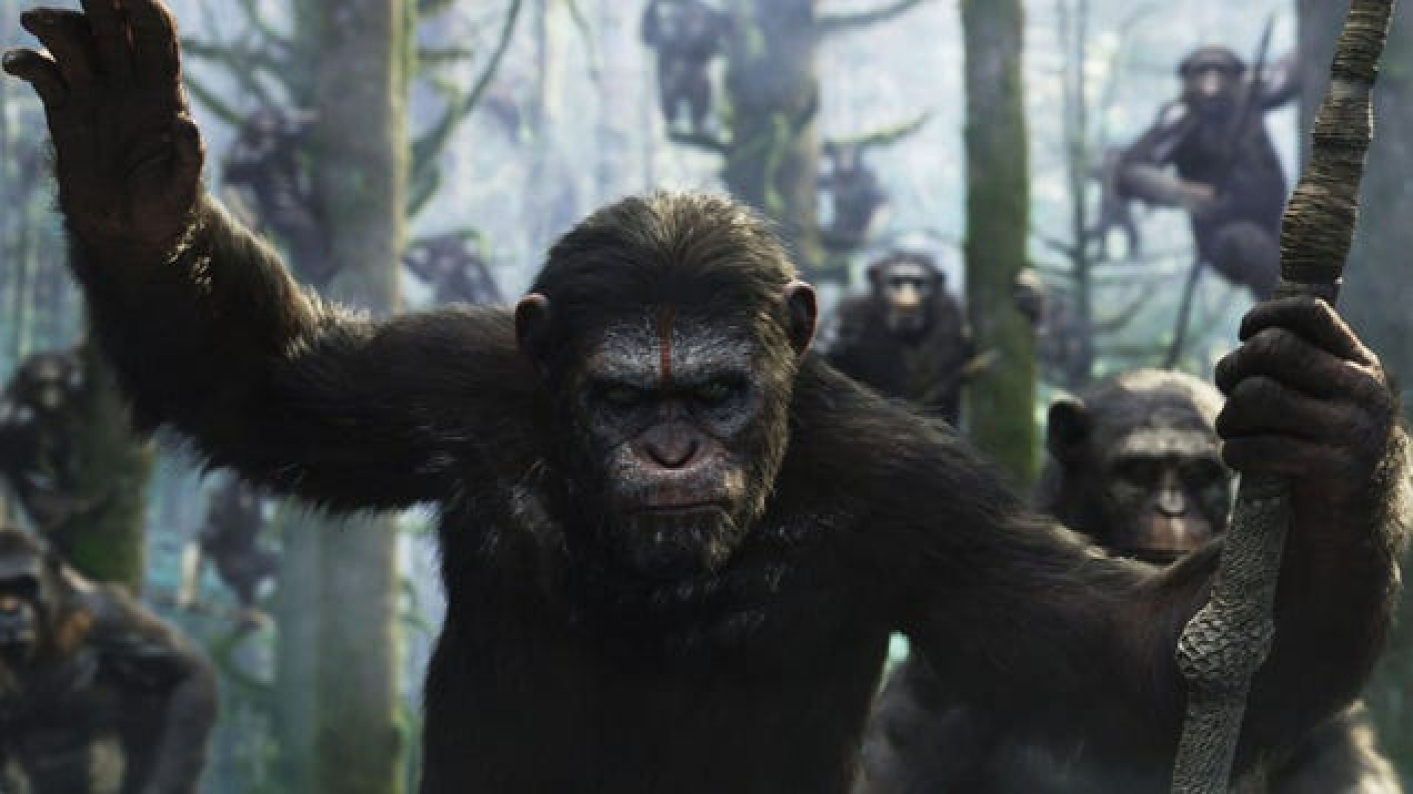 It’s a Planet of the Apes, and We’re Just Living in It It’s a Planet of the Apes, and We’re Just Living in It