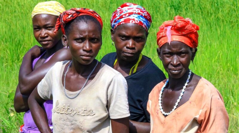 Senegal: Senegal Launches Africa Integrated Climate Risk Management Programme to support smallholder farmers.