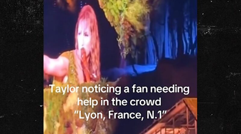 Taylor Swift Calls For Security in French to Help Fan at Concert