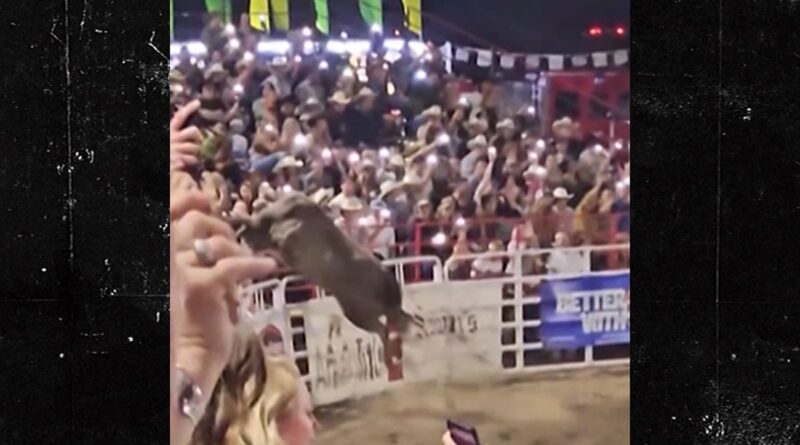 Oregon Rodeo Bull Won’t Be Put Down Following Rampage, Officials Say