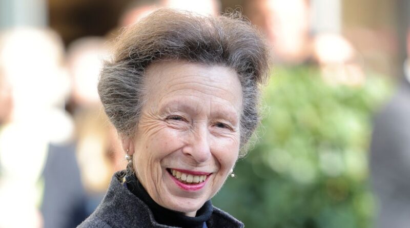 Princess Anne Sustains Minor Injuries In ‘Incident,’ Buckingham Palace Says