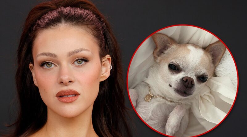 Nicola Peltz Hires Lawyers Over Dog’s Death, Heartbroken Over Loss